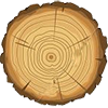 PANNELLI: l'evoluzione tecnologica del legno –