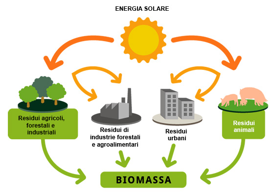 Biomassa05