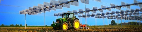 AGRIVOLTAICO: IL FUTURO DELL'AGRICOLTURA?